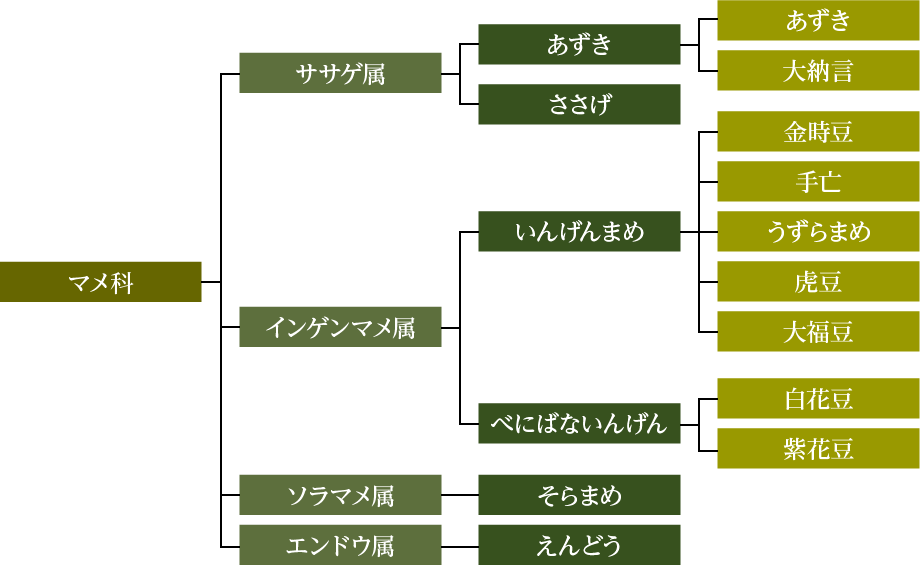 小豆、その他豆類の図