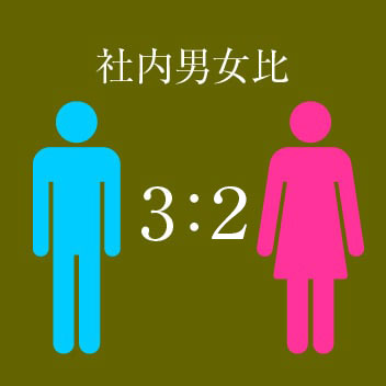 社員男女比3:1